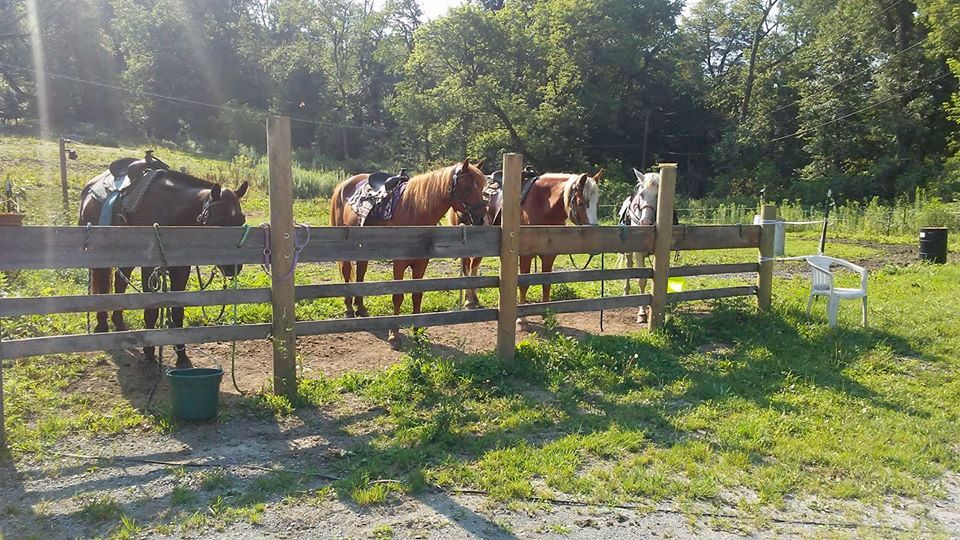 Horseback Trail Riding