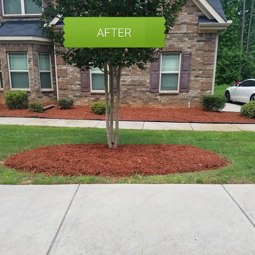 after picture with new mulch and weed treatment 