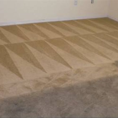 Carpet cleaning in Monument, CO November 2013. 719