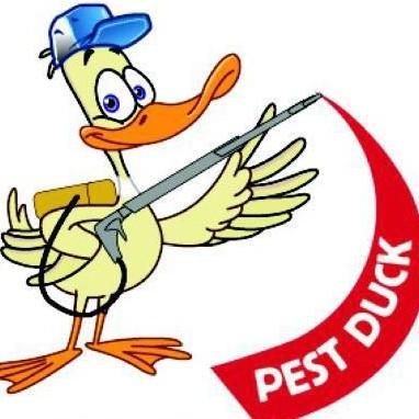 Pest Duck