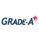 Grade-A Computer Services