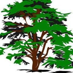 Edm Lawn Care and Design