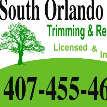 South Orlando Tree