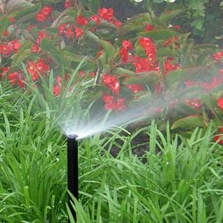 All N One Landscape & Irrigation