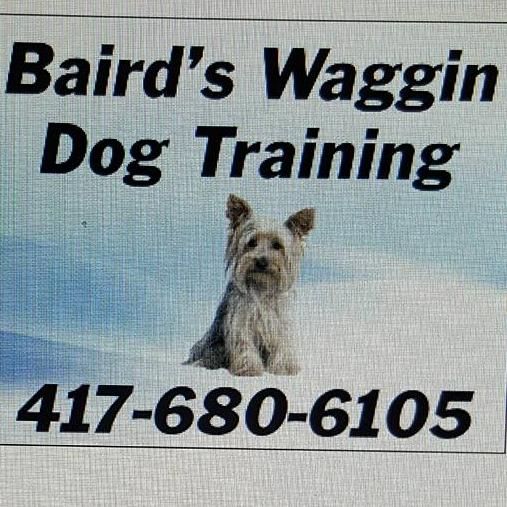 Baird's Waggin' Dog Training