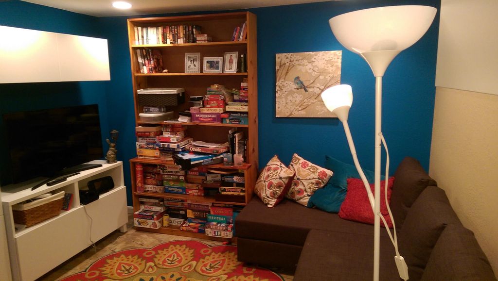 Photo of my basement renovation, complete with Ike