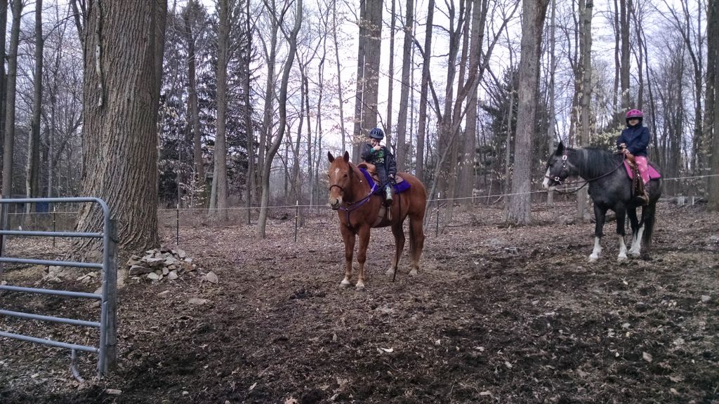 My grandson riding my horse & my niece riding my D
