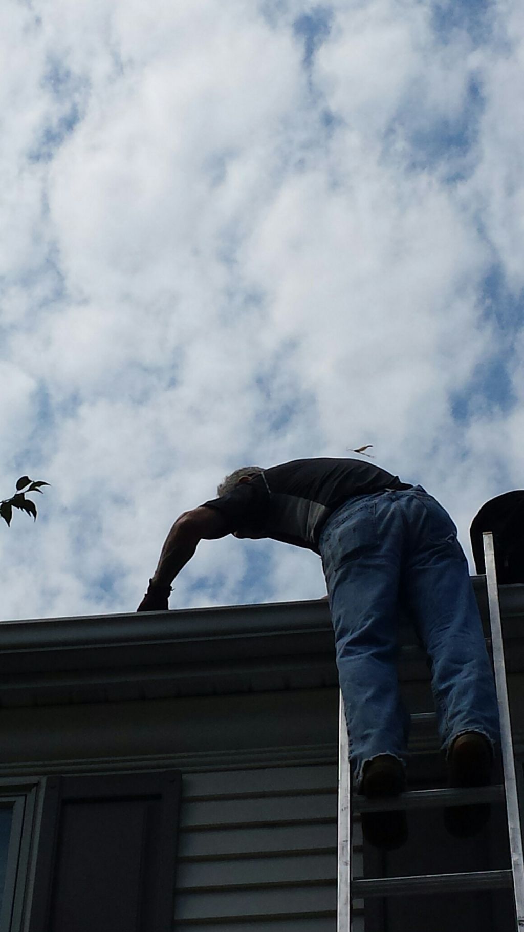 Gutters need cleaning...call Dan the Man