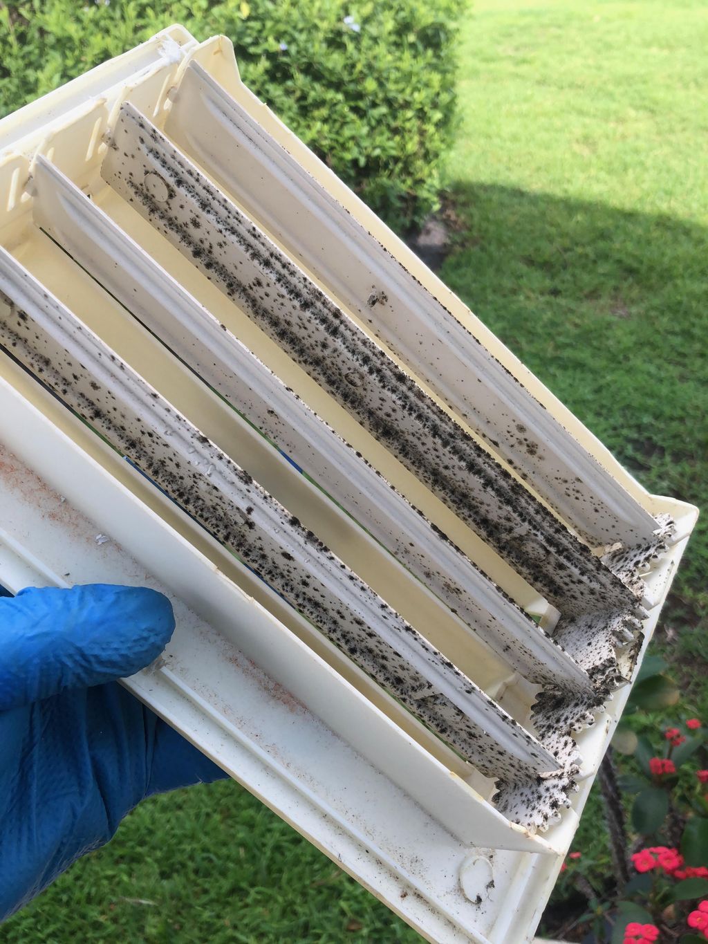 Contaminated HVAC system