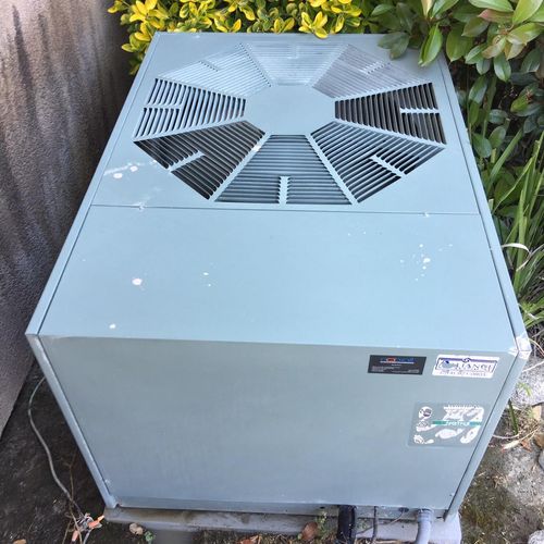17 year old A/C unit, serviced, washed, waxed, and