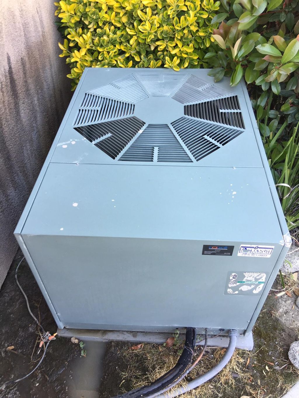 17 year old A/C unit, serviced, washed, waxed, and