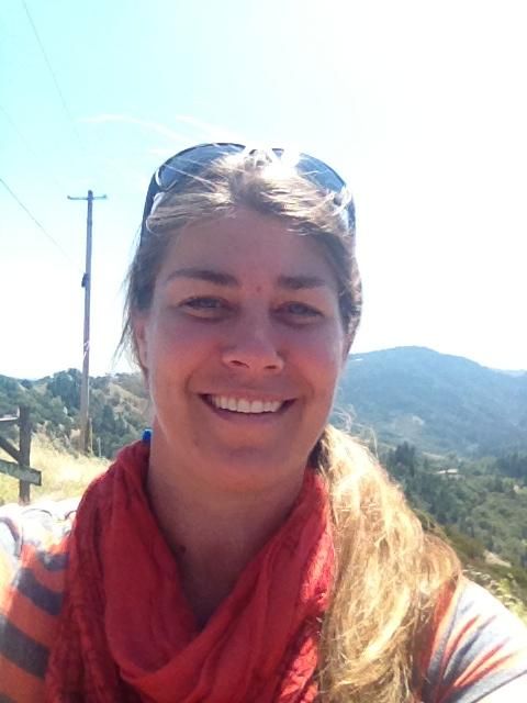 Sparkling Clean Windows, Inc.