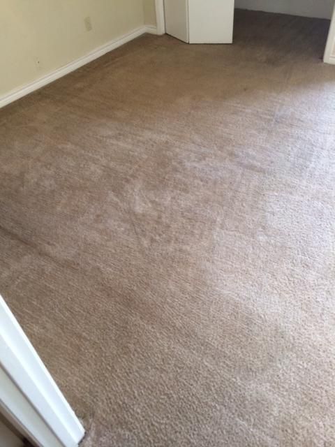 After Steam Cleaning
