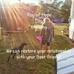 Ray of Hope Dog Training and pet care