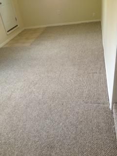 After Carpet Cleaning