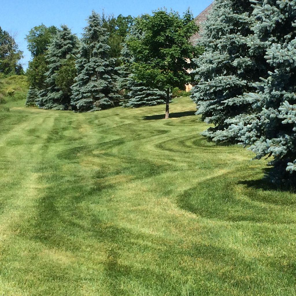 Lightcap Lawn & Landscape