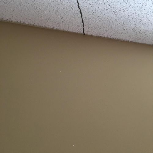 Termite shelter tubes on ceiling