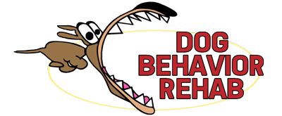 Dog Behavior Rehab