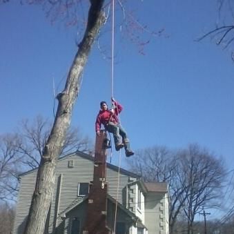 Final Touch Tree Services LLC.