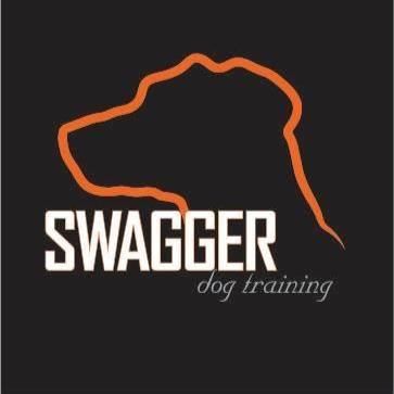 Swagger Dog Training