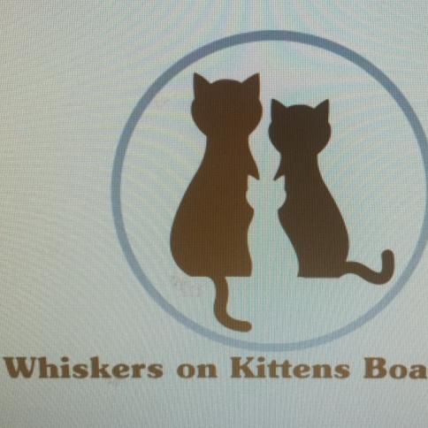 Whiskers on Kittens Cat Boarding and Grooming