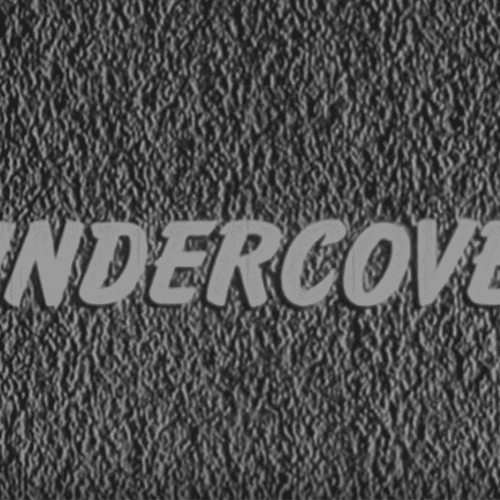 We offer undercover investigative services to comp