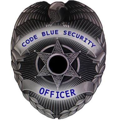 Avatar for Code Blue Security