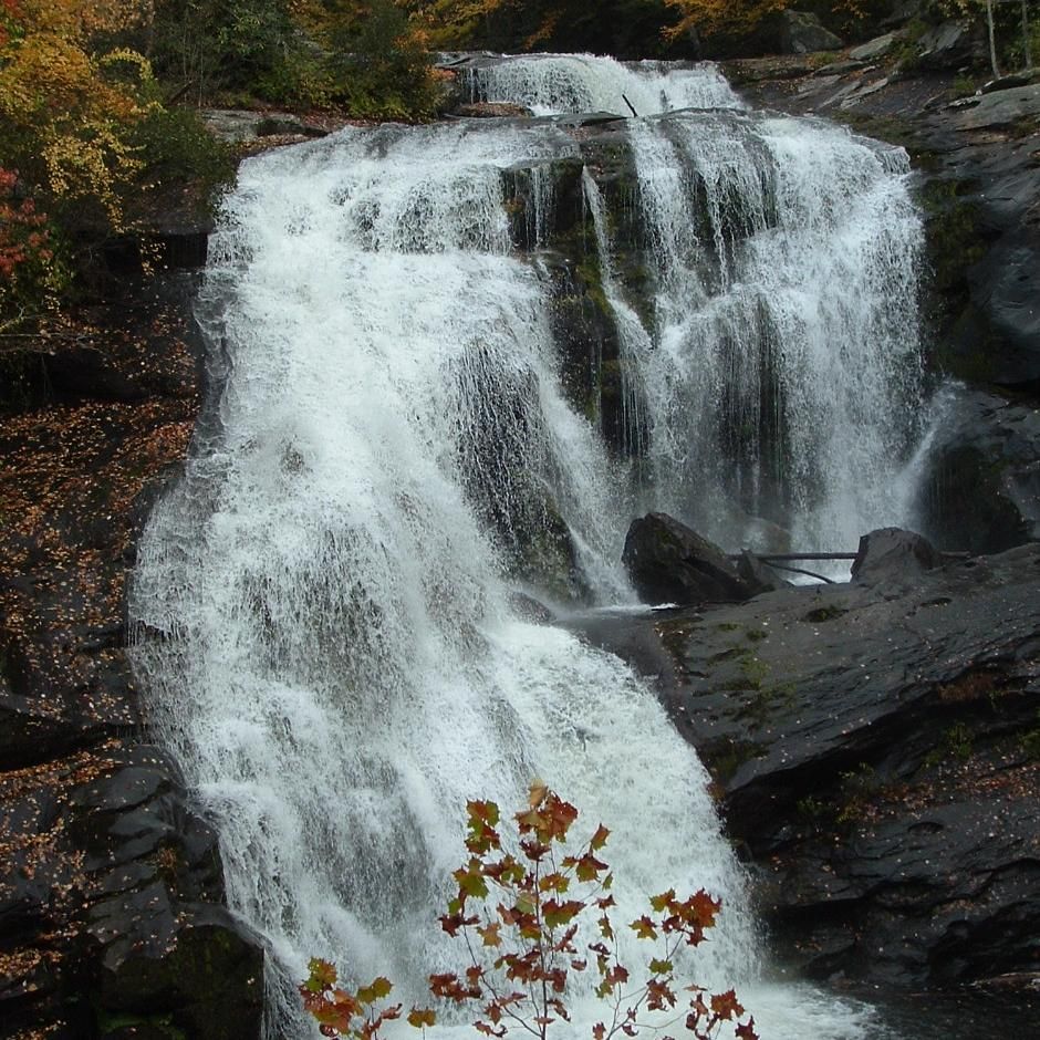 Tellico Land Surveying