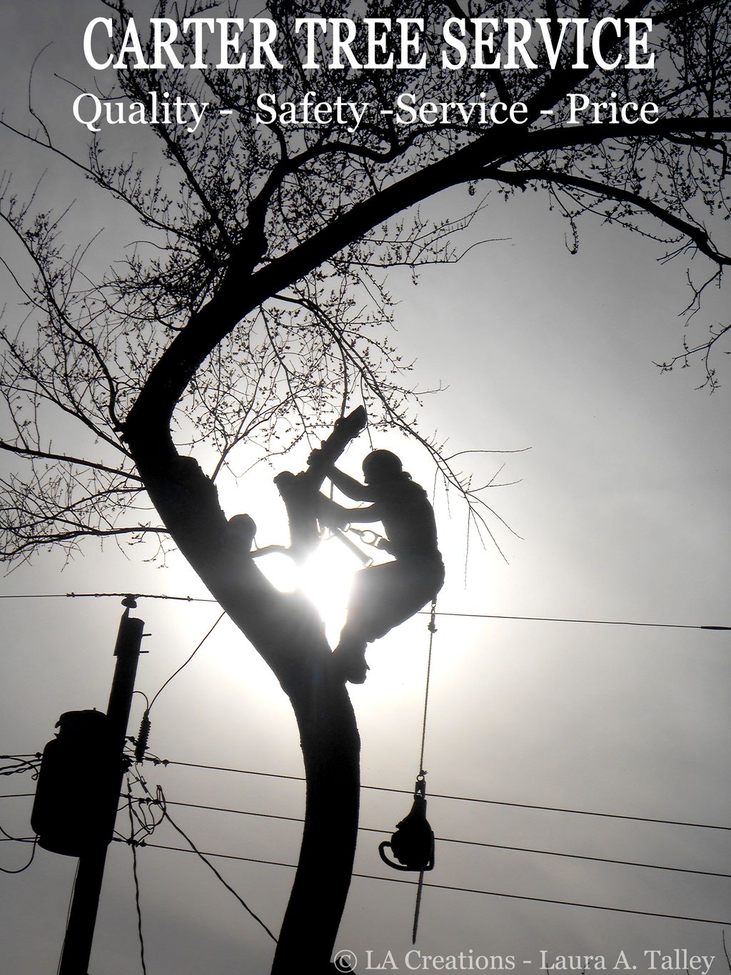 Carter Tree Service - Our goal is 100%  Customer S