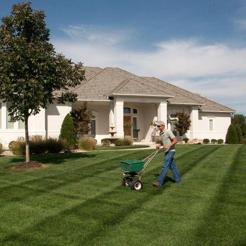 Lawn Fertilization, Weed, Disease and Insect Contr