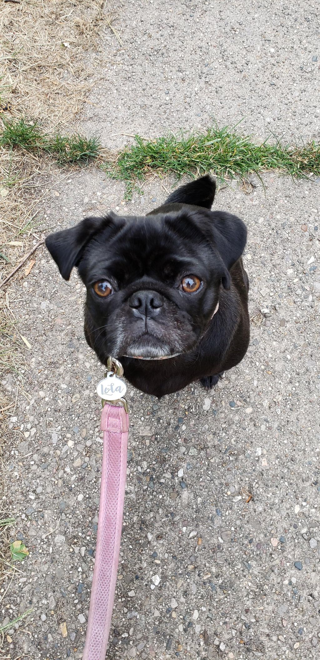 Lola sitting pretty