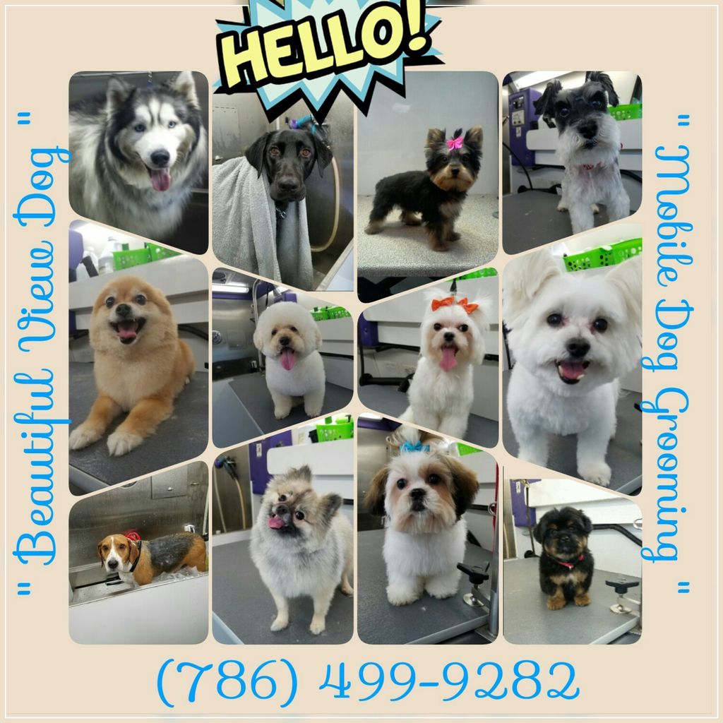 Beautiful View Mobile Dog Grooming