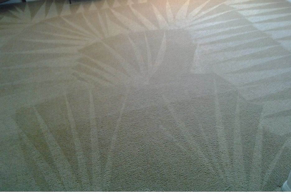 Carpet from earlier today!