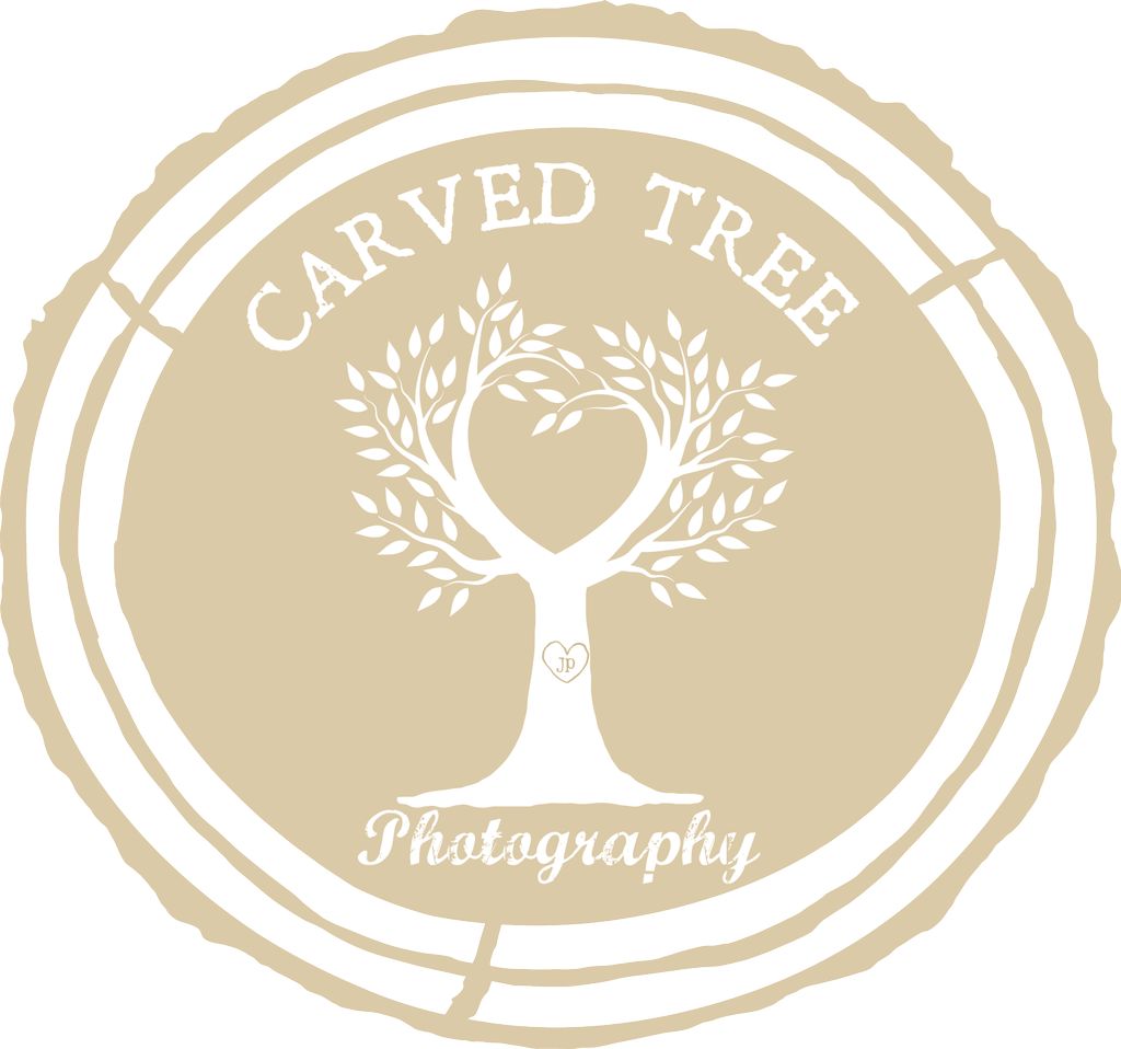 Carved Tree Photography