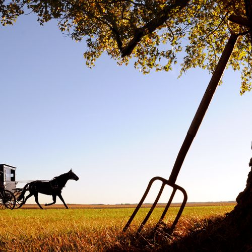 Illinois Amish Country.