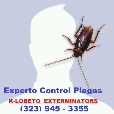 K-Lobeto Exterminators