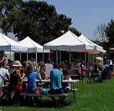 BBQ party for 150 guest