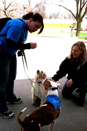 Giffy dog graduate Marla visits Giffy dog owner, C