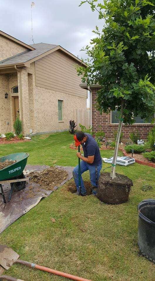 AAA Integrity Lawn Care of Fort Worth LLC