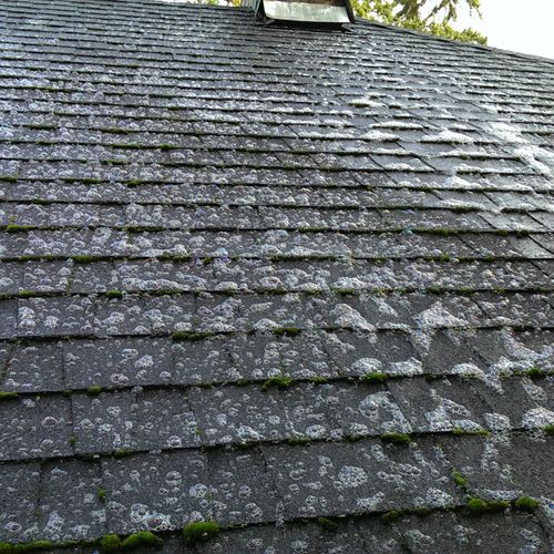 Coating a Roof With 5 Year Moss Prevention Solutio