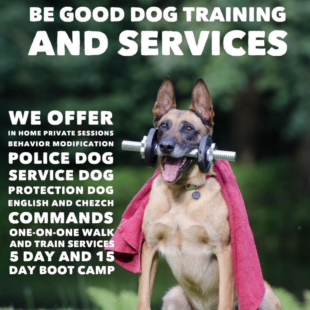 Be-Good Dog Training and Services