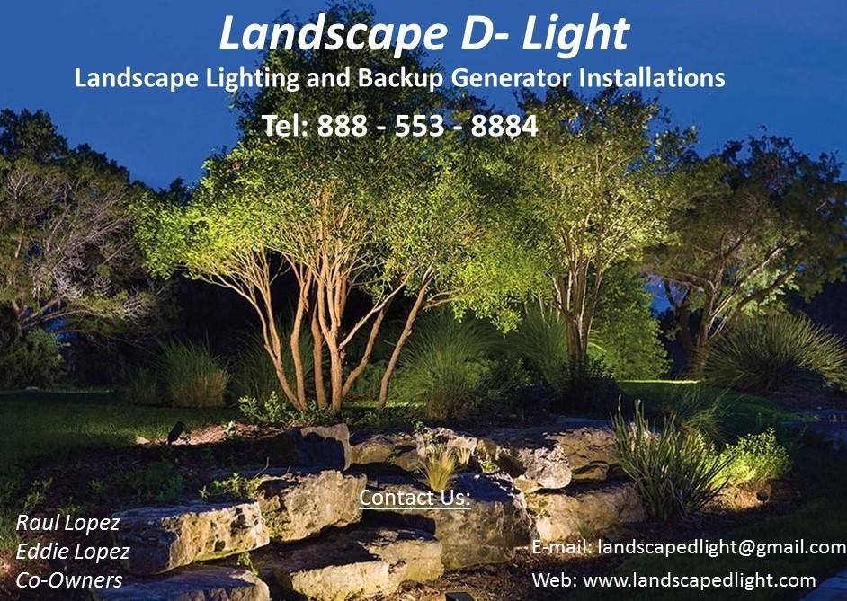 Landscape D-Light