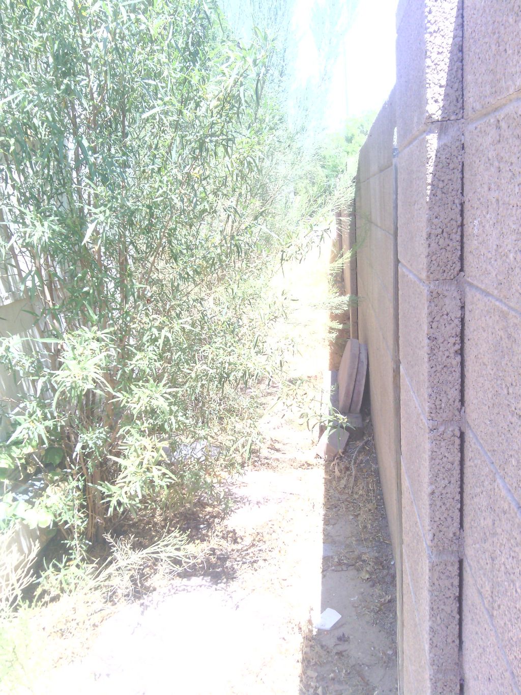 before picture of side of the house-