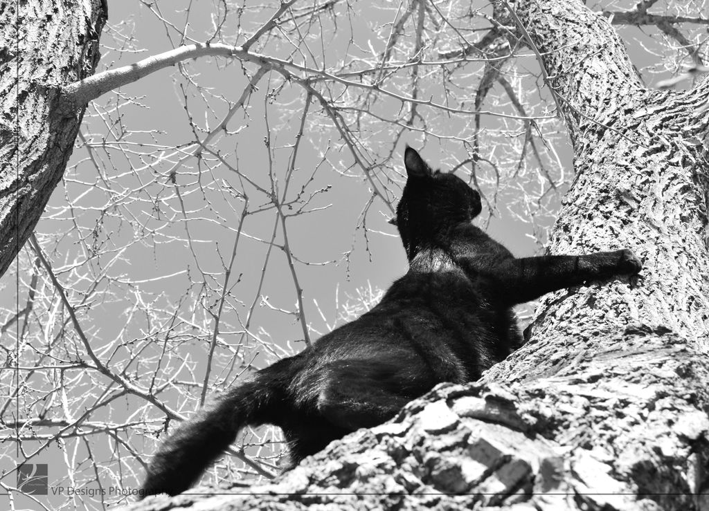 Photography. "The Climb".
