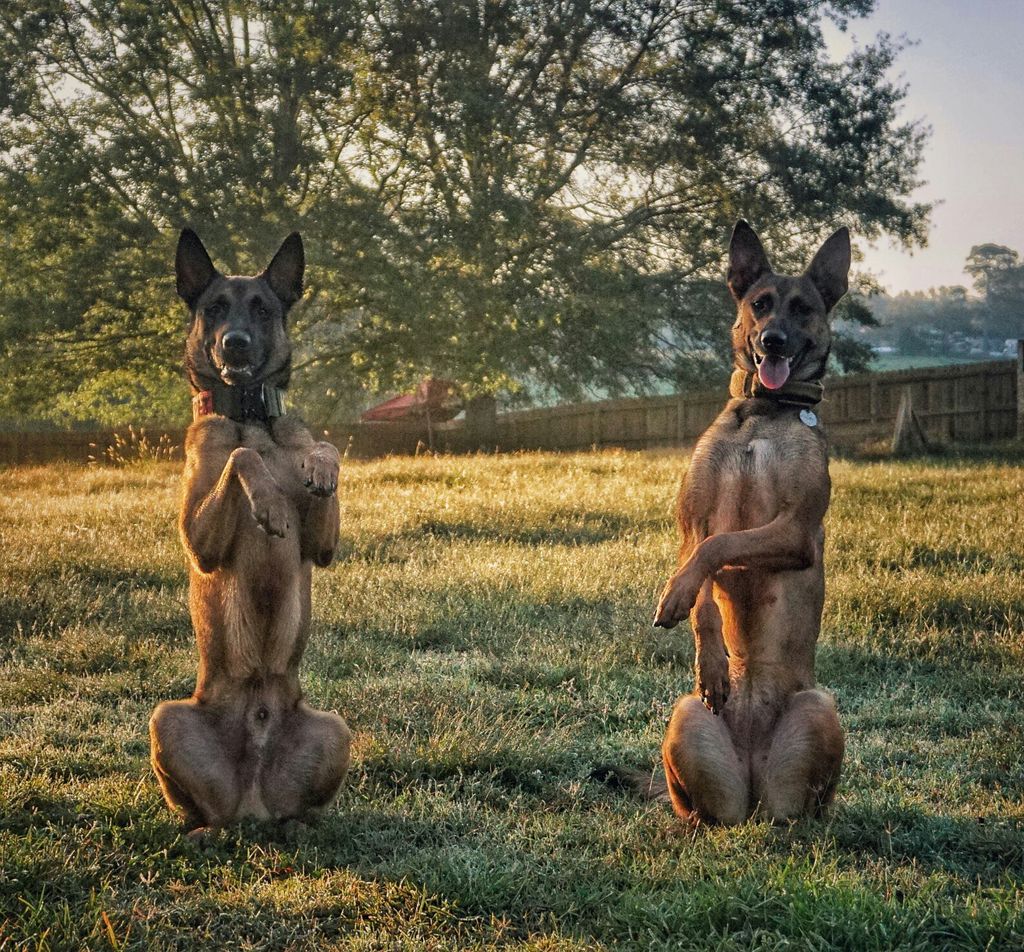 dual begging!