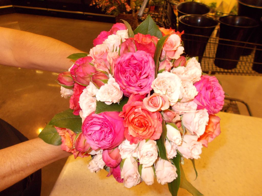 Garden roses, standard roses, and spray roses, enh