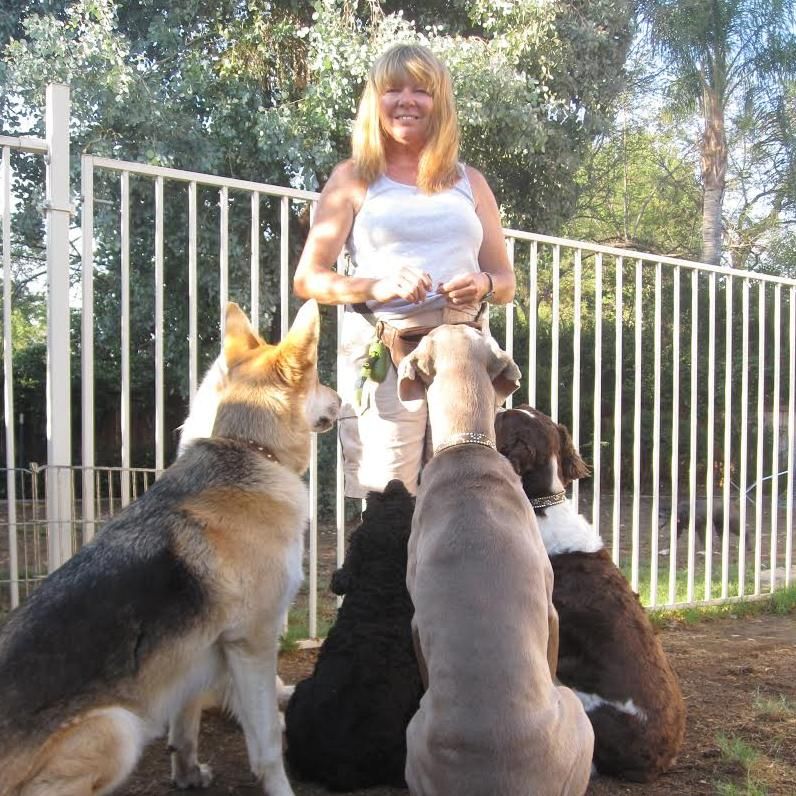 most famous dog trainers in california