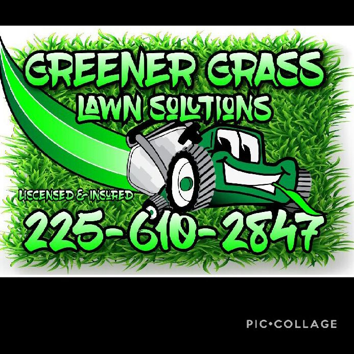 Greener Grass Lawn Solutions