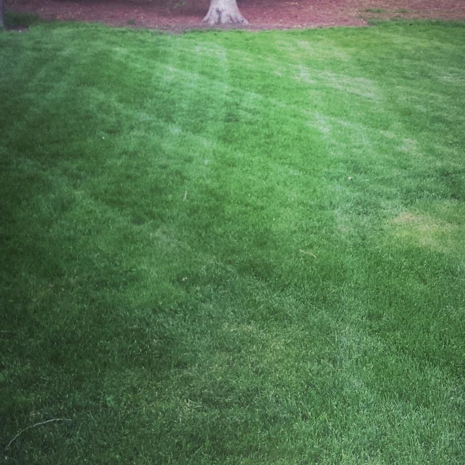 Tiger Stripes Lawn and Yard Care