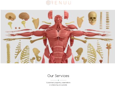 renuu.biz - Logo design, web development